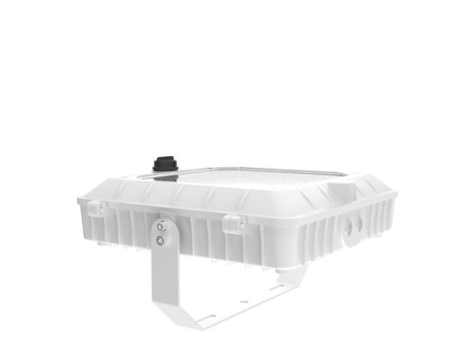 Beli 120-277V 50/60Hz Input Voltage LED Canopy Light With And Impact Resistance IK 07 Dalam warna putih pembuatan online